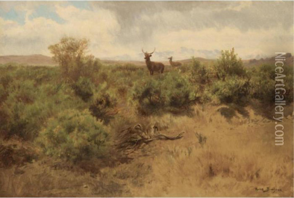 Stag And Doe In A Landscape Oil Painting - Rosa Bonheur