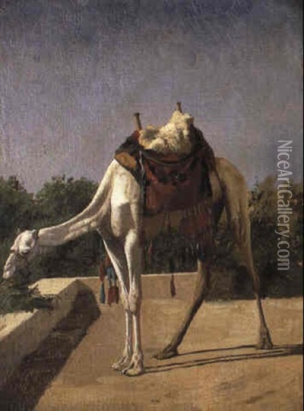 Camel Oil Painting - Jean-Leon Gerome