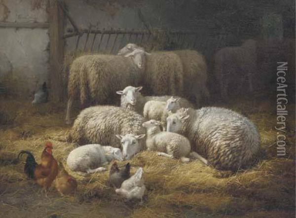 Sheep And Chickens In A Farm Interior Oil Painting - Eugene Remy Maes