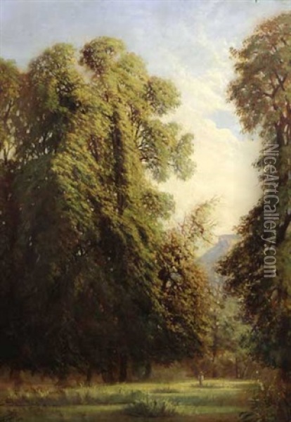 Waldlichtung Mit Wanderer Und Bergkulisse Im Hintergrund Oil Painting - Horace-Antoine Fonville