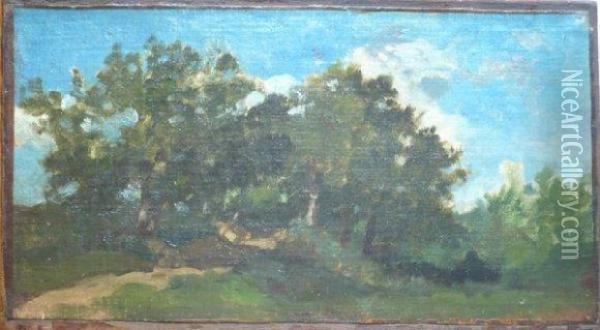 Etude De Paysage Boise. Oil Painting - Georges Washington