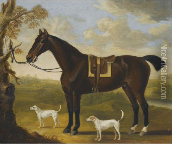 Portrait Of A Bay Hunter And Hounds In A Landscape Oil Painting - J. Francis Sartorius