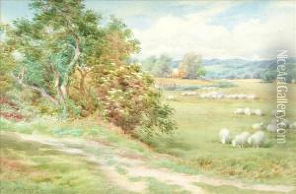 Sheep Grazing Oil Painting - Charles James Adams