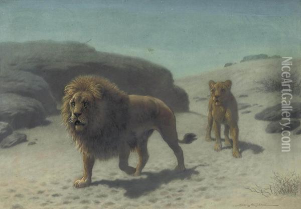 A Lion And Lioness In The Desert Oil Painting - John Alex. Harington Bird