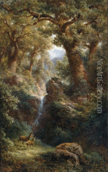 Rehe Am Waldbach Oil Painting - Gottfried Seelos