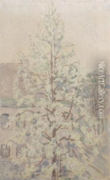 Bluhender Birnbaum In Abendstimmung Oil Painting - Ida Gerhardi