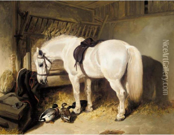 A Grey Pony In A Stable With Some Ducks Oil Painting - John Frederick Herring Snr