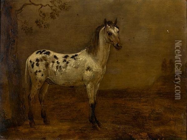 Study Of A Piebald Horse In A Landscape Oil Painting - Paulus Potter