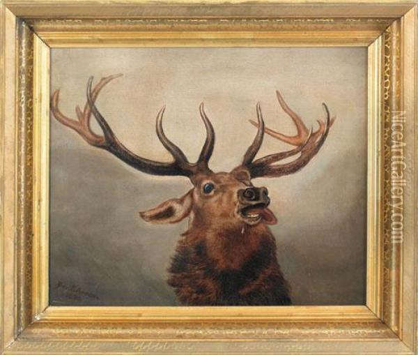 An Elk Oil Painting - Ben Austrian