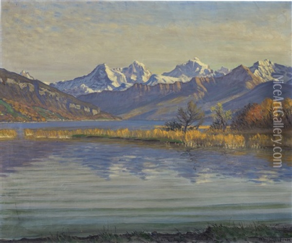 Blick In Die Berner Alpen Oil Painting - Waldemar Theophil Fink