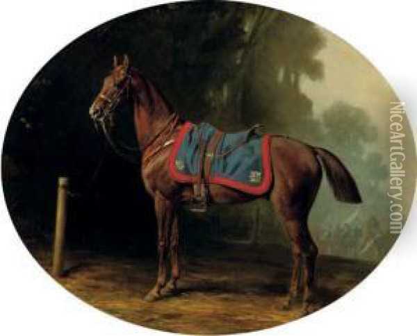 A Military Horse Oil Painting - Conrad Freyberg