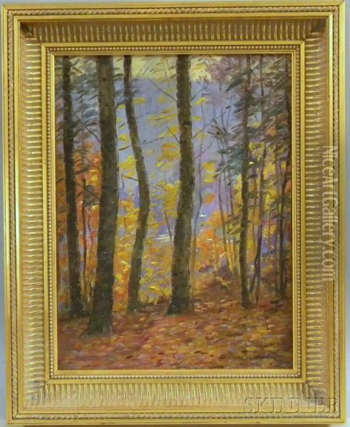 Sunlight Through The Fall Trees Oil Painting - Daniel Francois Santry