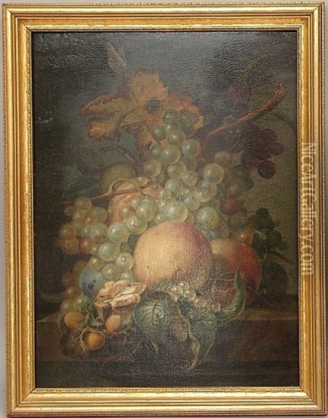 Still Life With Fruit And Insects Oil Painting - Jan Evert Morel the Elder