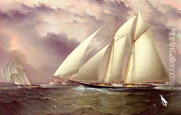 Schooner Racing off New York Harbor Oil Painting - James E. Buttersworth