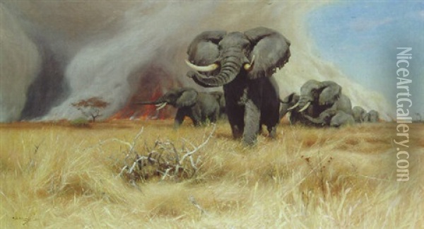 Elephants Oil Painting - Wilhelm Friedrich Kuhnert