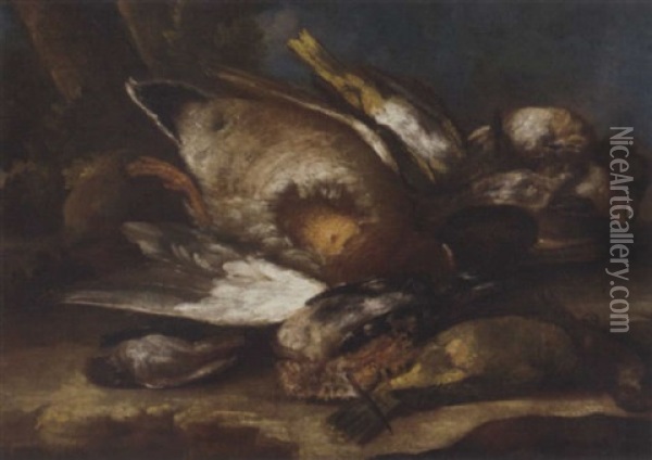 Still Life Of Game Birds Oil Painting - Angelo Maria (Crivellone) Crivelli