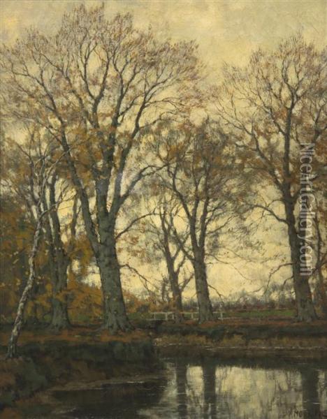 A Lake In The Forest Oil Painting - Arnold Marc Gorter