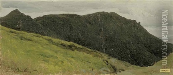 Bergige Landschaft In Der Auvergne Oil Painting - Auguste (Francois Auguste) Bonheur