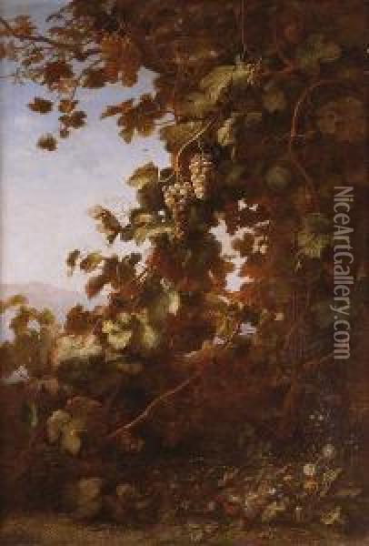 Parra Con Uvas, Insectos, Frutas Y Flores 1873 Oil Painting - Alexis Kreyder