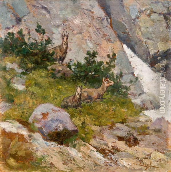 Berglandschaft Mit Gemsen Oil Painting - Hugo Engl