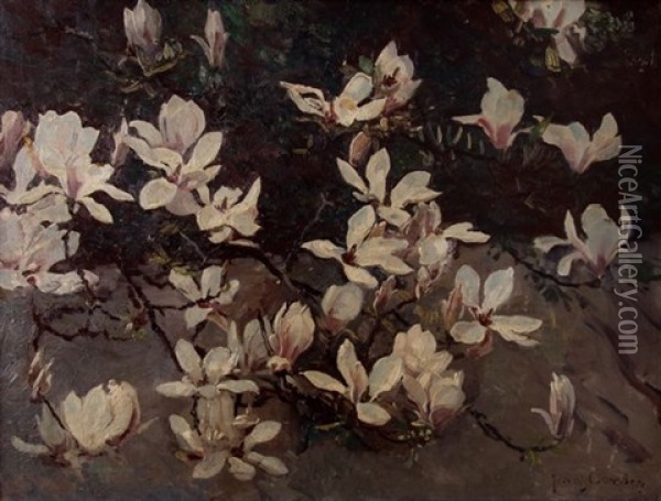 Magnolias Oil Painting - Frans David Oerder