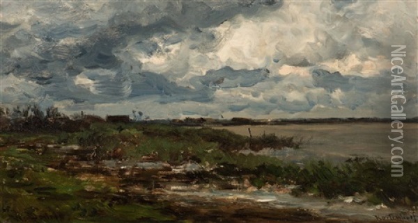 Lake In Kortenhoef Oil Painting - Willem Roelofs
