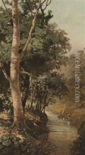 Bosque Con Arroyo Oil Painting - Jose Pinelo Llull