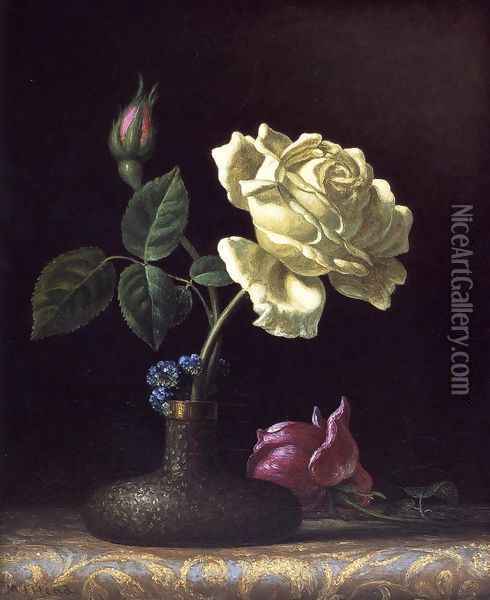 The White Rose Oil Painting - Martin Johnson Heade