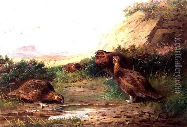 Grouse in a Landscape Oil Painting - Archibald Thorburn
