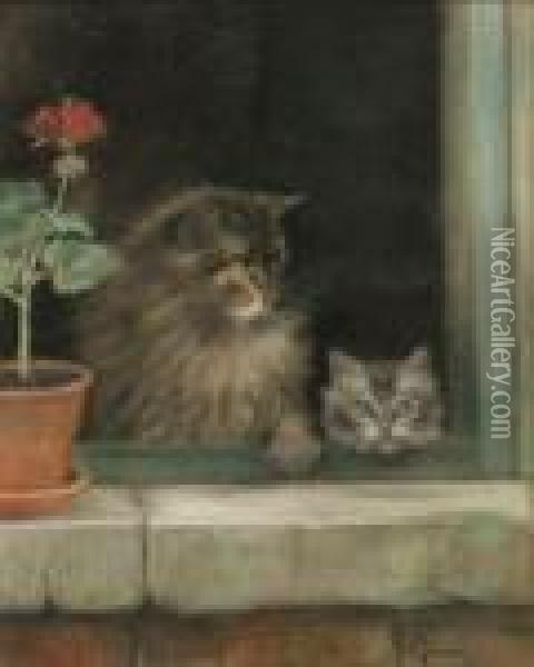 Two Cats At A Window Oil Painting - Henriette Ronner-Knip