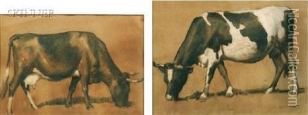 Studies Of Cows Oil Painting - Robert Henry Logan