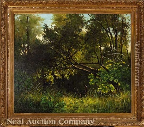 A Flock Of Wild Turkeys In The Woods Oil Painting - Frederick Rondel