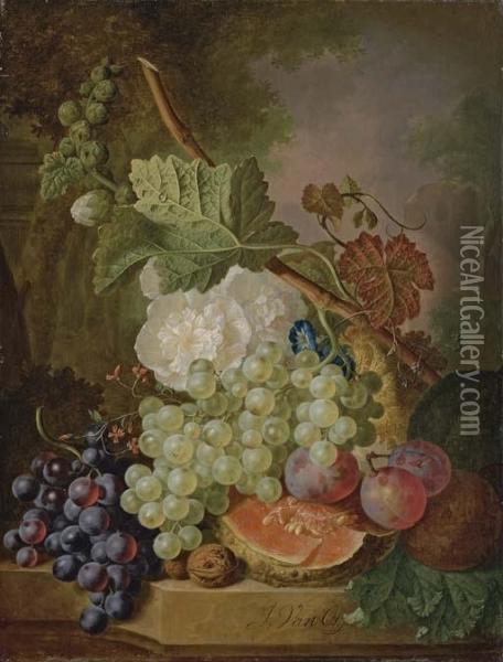 Flowers, Grapes, Plums, Walnuts And A Melon On A Stone Ledge Oil Painting - Jan van Os