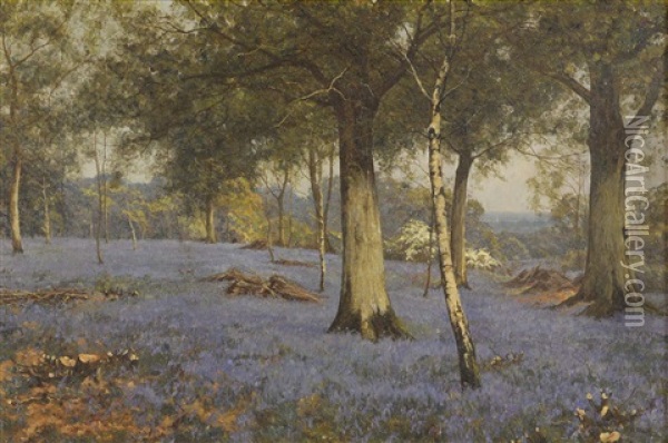 Edward Wilkins Waite (1854-1924), Oil On Canvas, Bluebell Woods, Signed Lower Right 49cm X 75cm Oil Painting - Edward Wilkins Waite