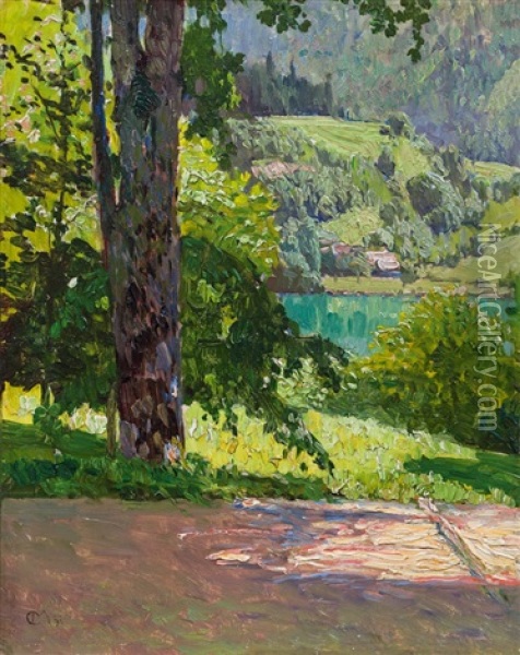 View From Villa Billroth On Wolfgangsee Oil Painting - Carl Moll