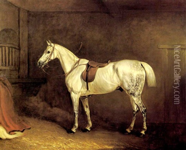 A Grey Hunter Saddled Up In A Stable Oil Painting - John E. Ferneley