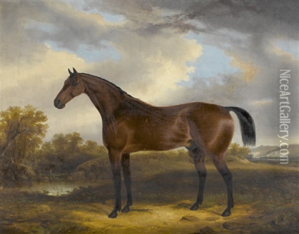 Portrait Of A Horse Oil Painting - George Cole