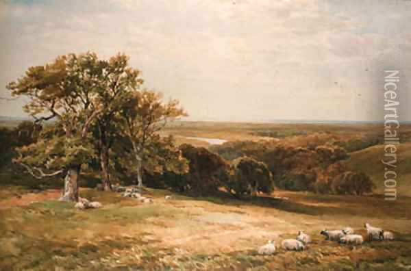 Sheep grazing in an extensive landscape Oil Painting - Edmund Morison Wimperis
