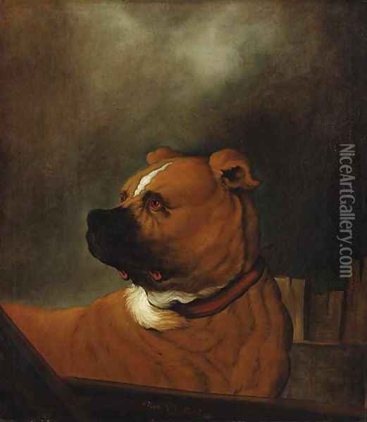 A mastiff standing in a stall Oil Painting - Johann Heinrich Roos