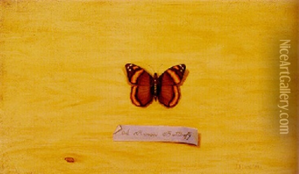 A Brown Butterfly Oil Painting - Jefferson David Chalfant