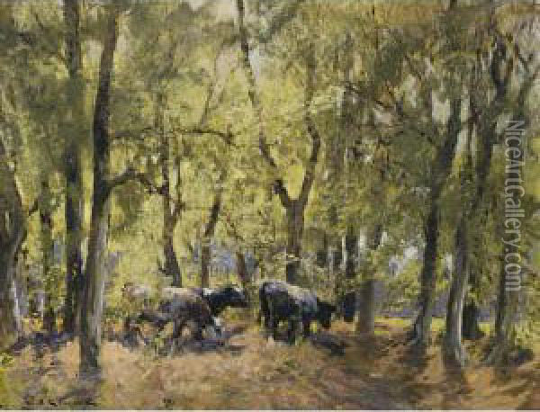 Shaded Grazing; A Moment At Rest Oil Painting - William Bradley Lamond