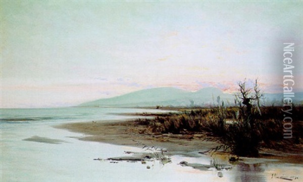 Aspecto Del Golfo De Rosas Oil Painting - Juan Llaverias Labro