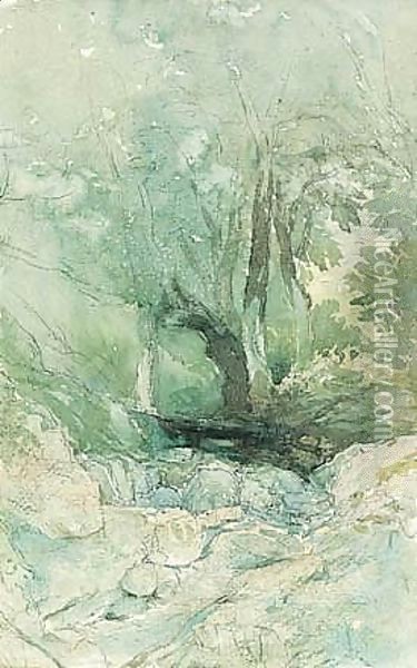 A Woodland Stream Oil Painting - David Cox