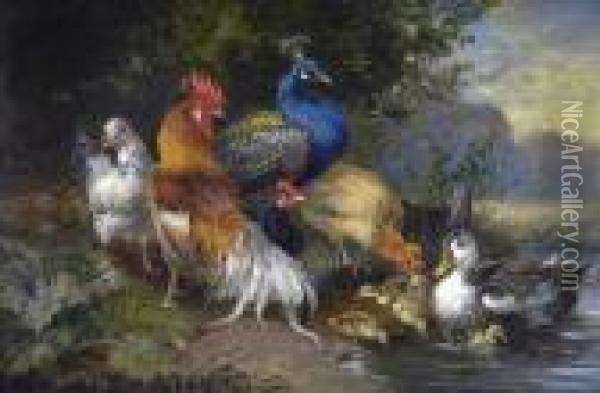 Companions,poultry, Ducks And Peacock By A Woodland Pool Oil Painting - Julius Scheurer