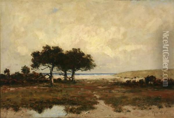The Potomac Marshlands Oil Painting - Max Weyl