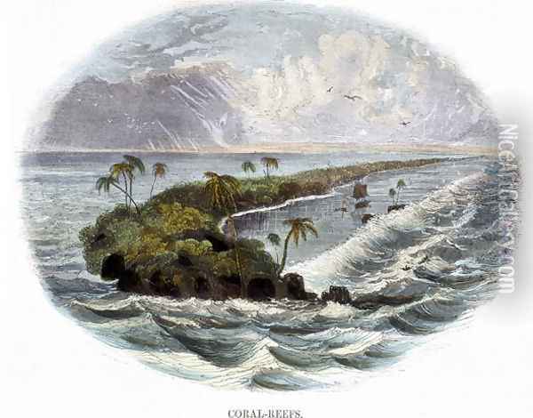 Coral-Reefs, from Phenomena of Nature, 1849 Oil Painting - Josiah Wood Whymper