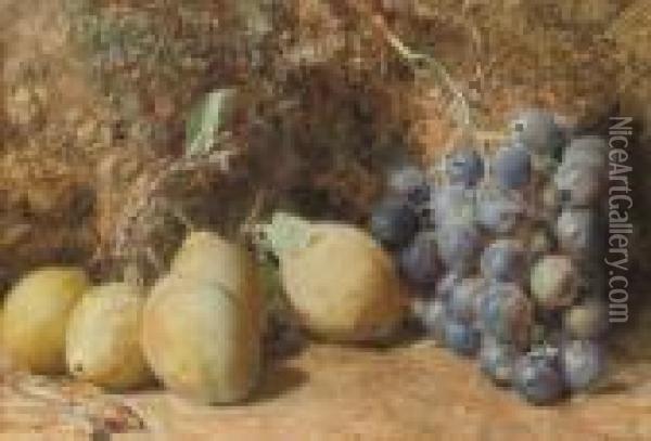 Still Life Of Plums, Grapes And Rosehips On A Mossy Bank Oil Painting - William Henry Hunt