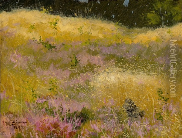 Meadow With Heather In Blossom Oil Painting - Wilhelm Carl August Zimmer