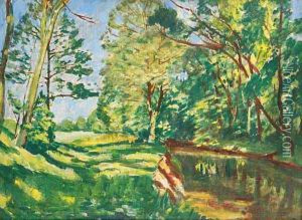 A Summer Landscape With A Water Surface Oil Painting - Antonin Hudecek