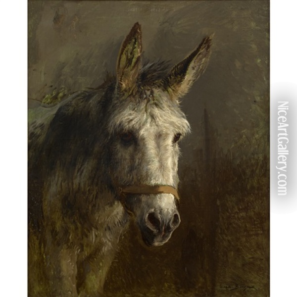 Portrait Of A Donkey Oil Painting - Rosa Bonheur